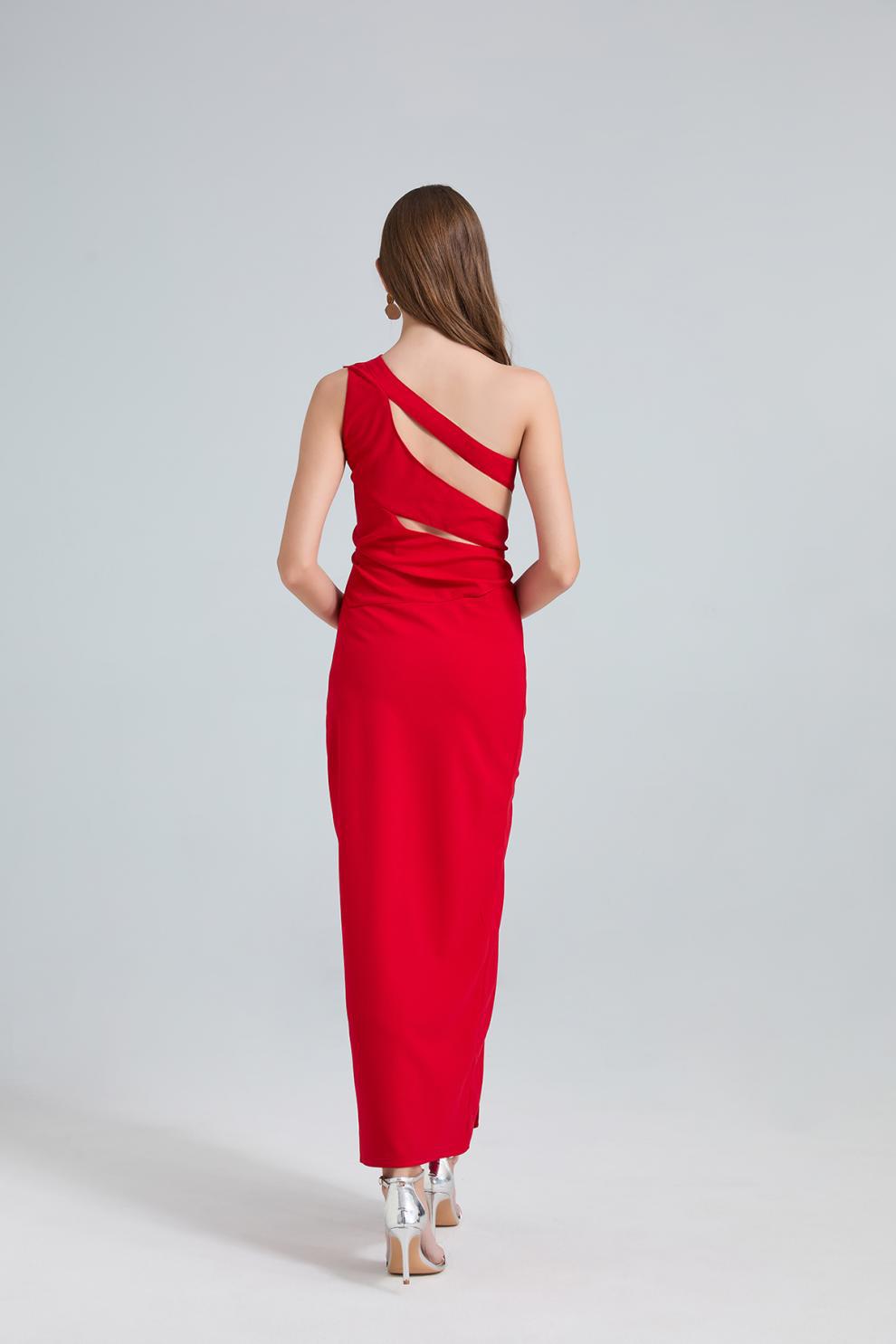 Biyon Maxi Elbise
