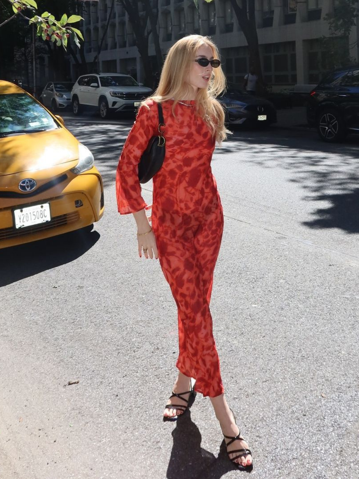 Cecily Uzun Kollu Gül Baskılı Maxi Elbise