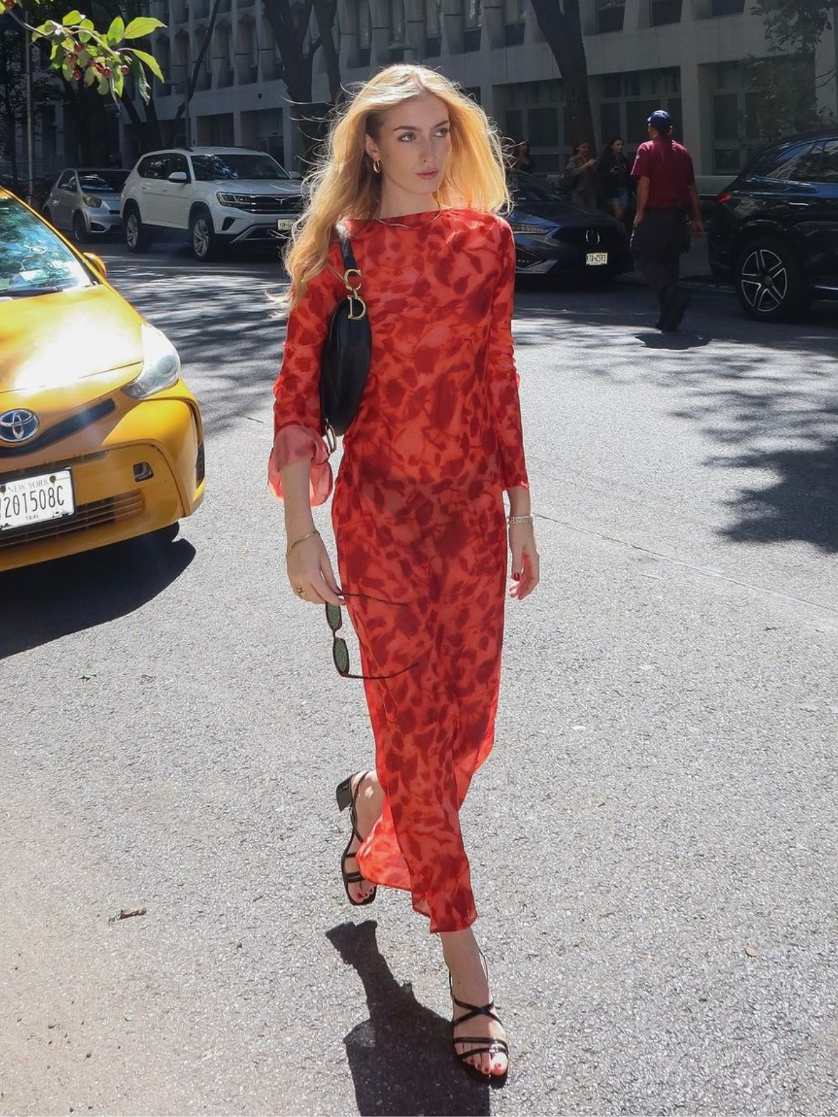 Cecily Uzun Kollu Gül Baskılı Maxi Elbise